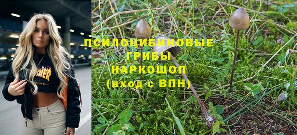 ПСИЛОЦИБИНОВЫЕ ГРИБЫ Абдулино