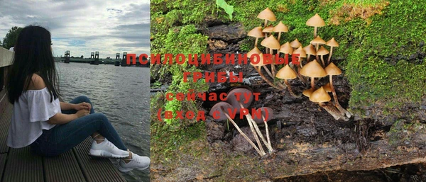 метадон Абинск